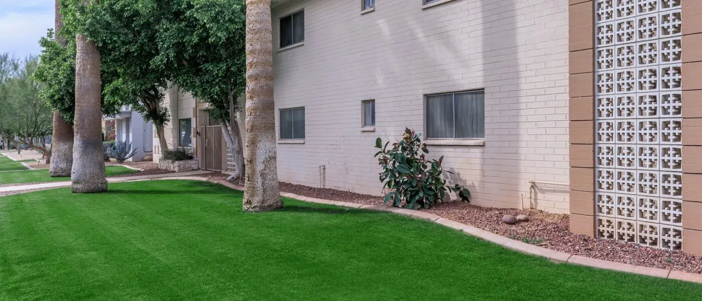 A well-maintained lawn with lush green grass is bordered by a light-colored building with rectangular windows. Palm trees and other desert plants line the edge, and a section of wall features a decorative block pattern. The scene, possibly enhanced by professional turf installations in Sparks NV, is bright and neat.