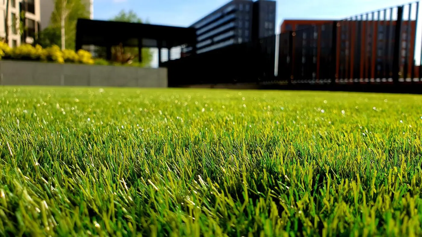 Close-up view of a green grassy field on a sunny day, with the backdrop of modern residential properties and a black fence. The sky is clear and blue, indicating good weather. The grass is fresh and lush, reminiscent of playground turf, with some trees and foliage in the distance.