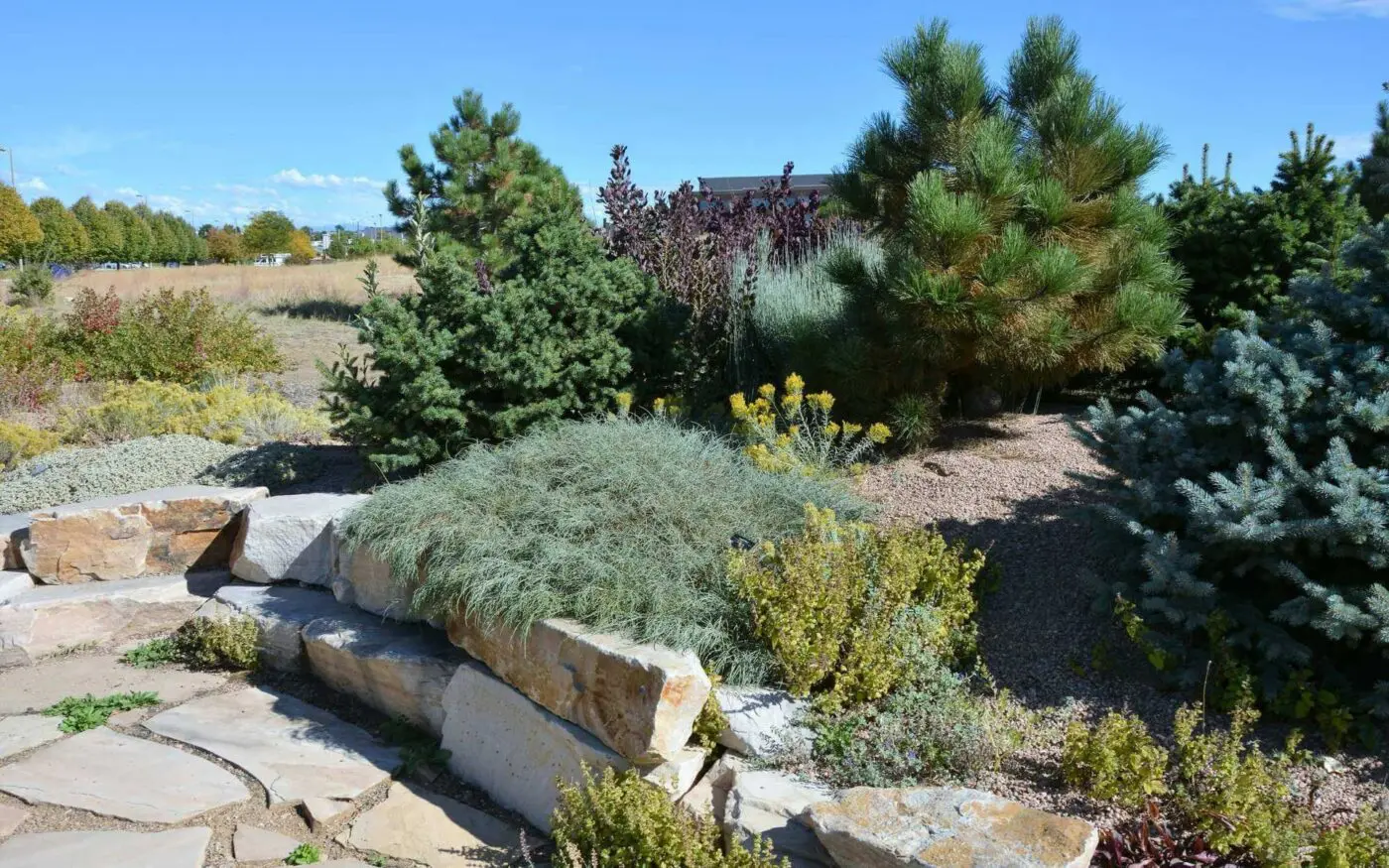 Reno Turf Masters' xeriscape design and installation in Reno, NV