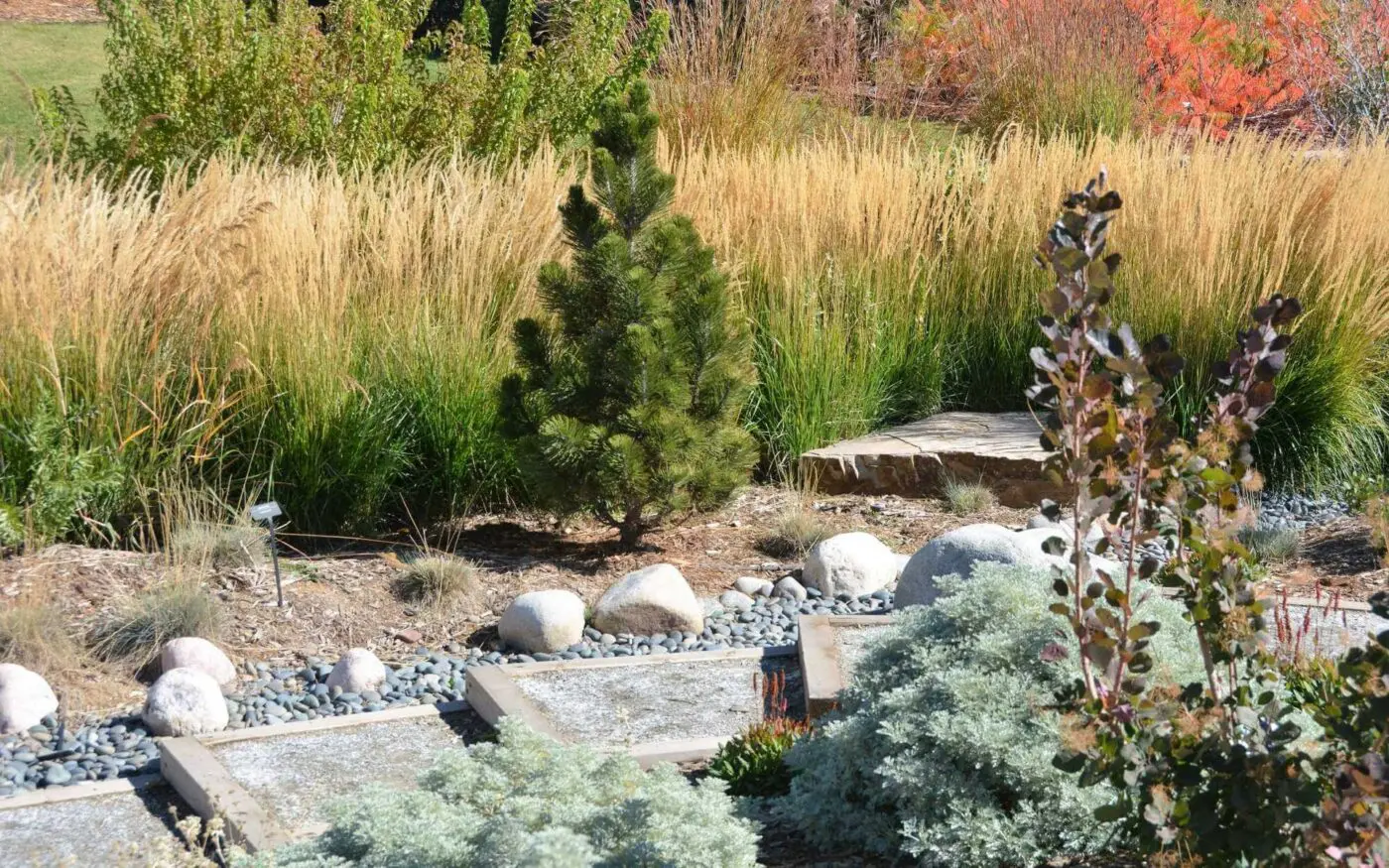 modern desert landscaping most made of rock and gravel