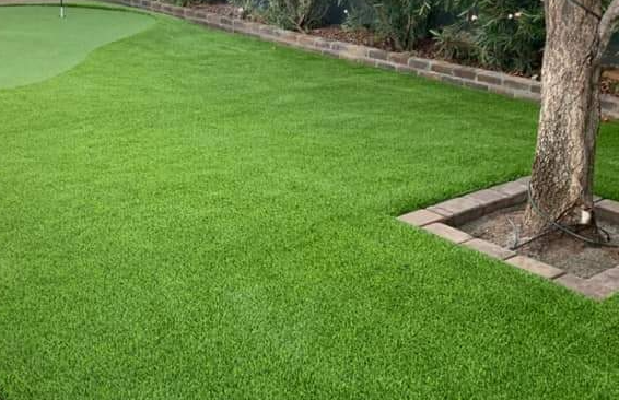 A well-maintained lawn with vibrant green grass, featuring a brick-bordered tree on the right and dense foliage in the background. Considering pet turf installation? Contact us for free estimates in Reno, NV.