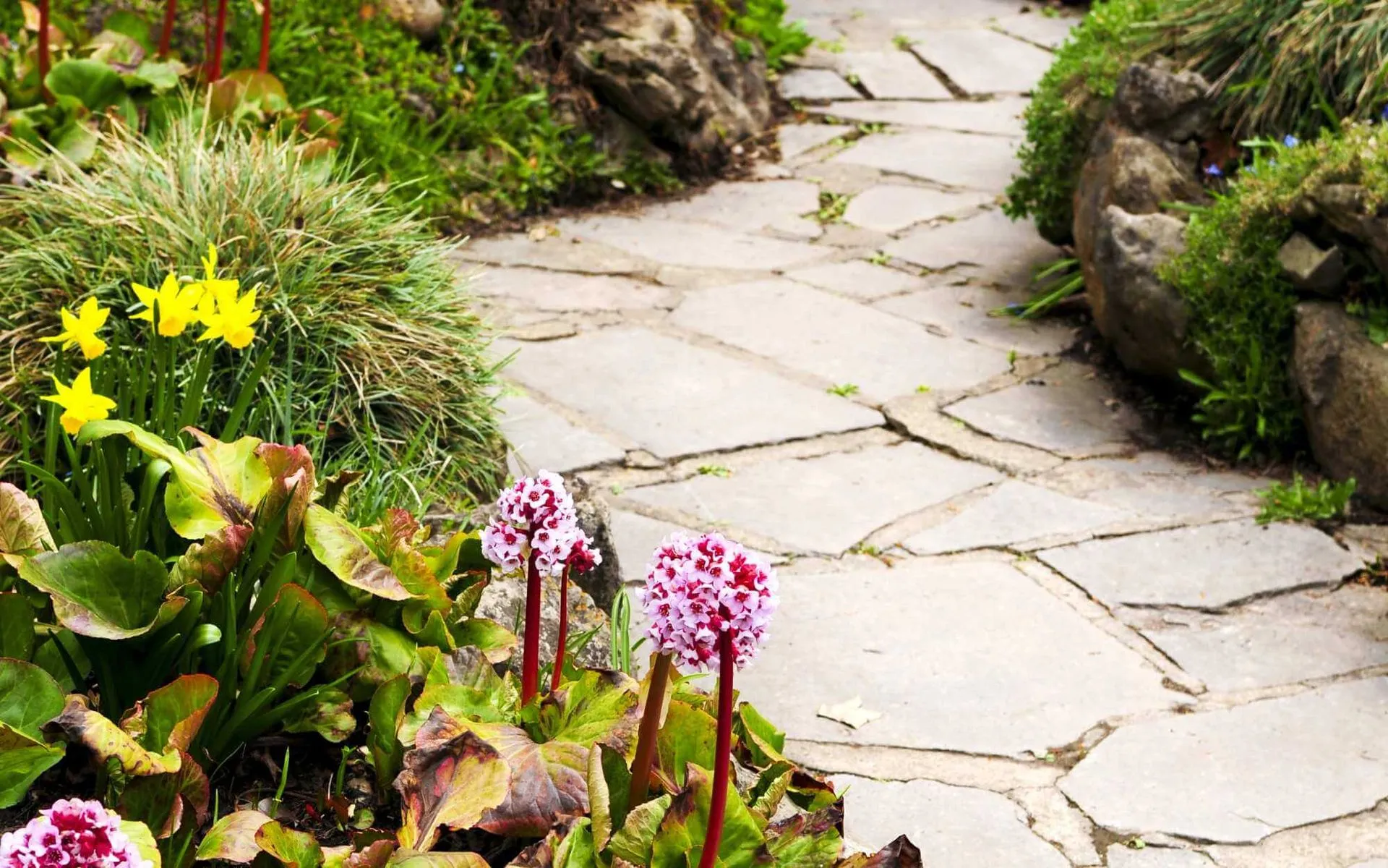 walkway made of large paving stones